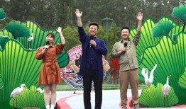 刘华爆料张大炮最新视频,张大炮最新视频内容大揭秘！